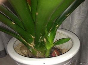 热门大瓜 第3页