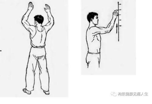 锻炼肩周炎的动作视频,轻松缓解肩部不适,恢复肩关节灵活