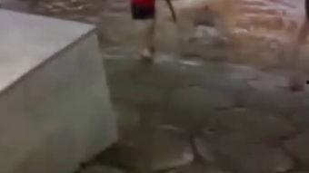 女尸解剖视频,医学探索与伦理边界