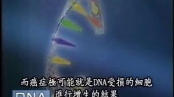 自由基视频,揭秘生命活力的秘密武器