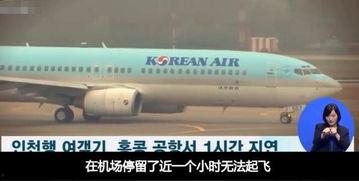 韩国明星飞机视频