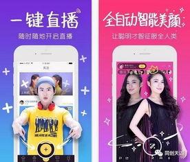 群p视频在线观看,揭秘网络社交新趋势