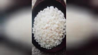 减肚子赘肉视频教程,跟随视频教程打造平坦腹部