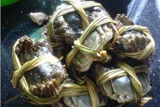 螃蟹绑法视频,轻松掌握美味蟹肉烹饪技巧