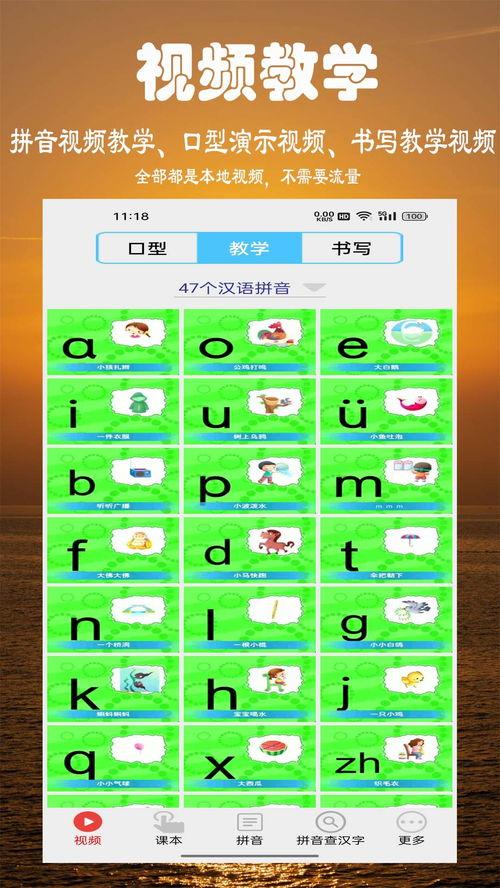 视频的拼音怎么写,解码语言与科技的交融