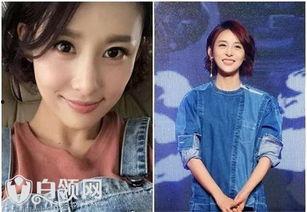 贾青的视频,探寻明星背后的故事与魅力