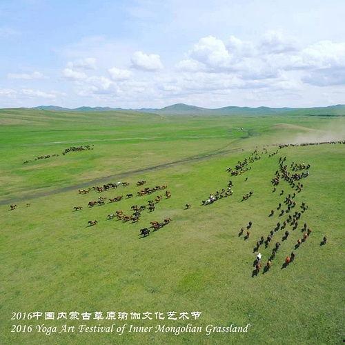 久青草原视频,探寻自然之美与民族风情