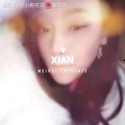 西野花恋视频,浪漫邂逅,甜蜜瞬间
